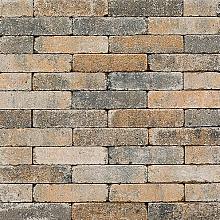 Antieke trommelsteen waalformaat 20x5x7 cm musselkalk