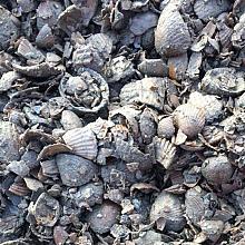 Big Bag Kleischelpen 1m³