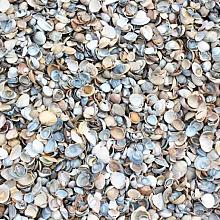 Big Bag Schelpen (Schoon) 1m³